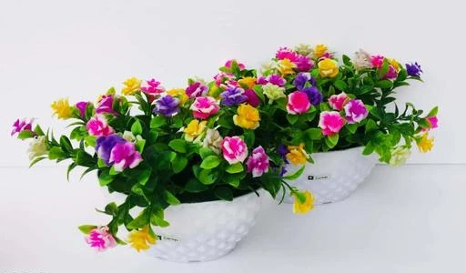Checkout this latest Artificial Plant, Flower and Shrubs
Product Name: *Essential Plants with Pots*
Easy Returns Available In Case Of Any Issue



Catalog Name: Fancy Plants with Pots
CatalogID_1921302
C194-SC2081
Code: 657-10517691-0432