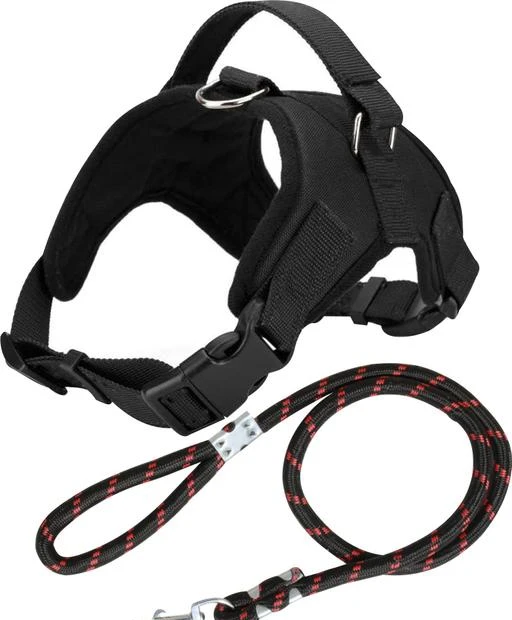 fcity.in - Adios Body Belt With Lead For Small Breed Dog / Unique Dog ...