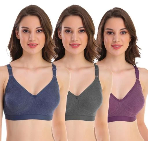  Pooja Ragenee Non Padded Non Wire Bra For Womens Pack Of 3 /  Stylus