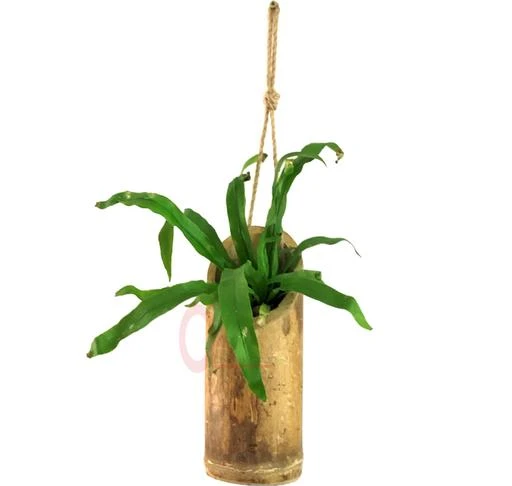 Checkout this latest Planter
Product Name: *LIVEONCE BAMBOO PLANTER  VERTICAL HANGING*
Material: Wood
Shape: Rectangle
Type: Hanging
Product Breadth: 5 Cm
Product Height: 5 Cm
Product Length: 34.5 Cm
Net Quantity (N): Pack Of 1
LIVEONCE
Country of Origin: India
Easy Returns Available In Case Of Any Issue


SKU: 0DJrq3Xw
Supplier Name: LIVEONCE

Code: 732-125997404-954

Catalog Name: Graceful Planter
CatalogID_36947539
M08-C26-SC2450
