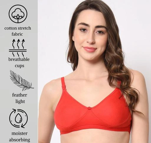 Bewild Padded non wired Backless bra with transparent straps and band .  Women T-Shirt Lightly Padded Bra - Buy Bewild Padded non wired Backless bra  with transparent straps and band . Women