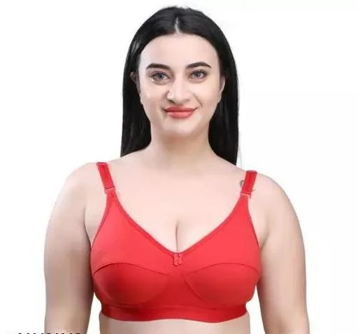 Cotton Seamed Broad Strap Bra/ C Cup Bra / D Cup Bra/T- Shirt Bra