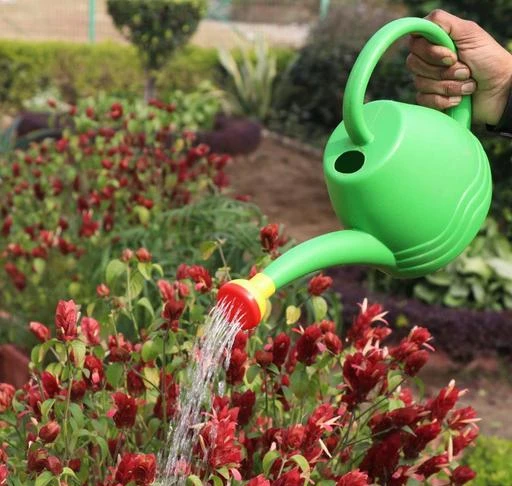 Checkout this latest Watering Cans
Product Name: *Trendy Watering Cans*
Product Breadth: 10 Inch
Product Height: 10 Inch
Product Length: 10 Inch
Net Quantity (N): Pack Of 1
1.8 Liter Premium Plastic Watering Can for House plants Home Garden Office Garden Terrace Garden Kitchen Garden  indoor Garden Outdoor Garden(1.8 Liter, Pack of 1, Green) GREENPOTZ
Country of Origin: India
Easy Returns Available In Case Of Any Issue


SKU: 9FEL72wj
Supplier Name: Greenpotz

Code: 881-27326739-995

Catalog Name: Essential Watering Cans
CatalogID_6370286
M08-C26-SC2255