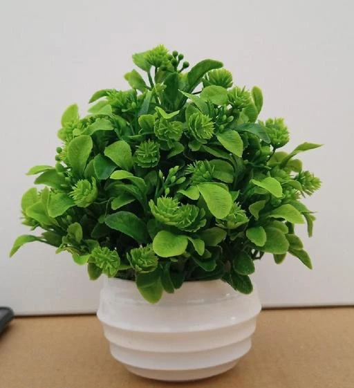Checkout this latest Artificial Plant, Flower and Shrubs
Product Name: *Trendy Plants*
Material: Plastic
Product Height: 18 
Country of Origin: India
Easy Returns Available In Case Of Any Issue


Catalog Rating: ★3.8 (101)

Catalog Name: Modern Plants
CatalogID_7094010
C127-SC1610
Code: 862-29625343-056