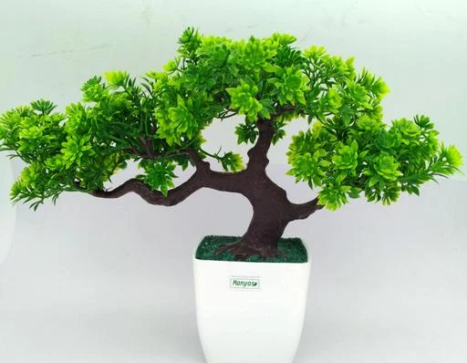 Checkout this latest Artificial Plant, Flower and Shrubs
Product Name: *Latest Plants*
Manyas Clasic Artificial bonsai plant. Easy To Maintain And Clean. Best for Home Decor (Side Corners, Center Table), Offices and Gifting Purpose. Leaves and stems are packed well together in the pot. Perfect hassle free plants which do not require daily watering. After receiving the package the plant should be placed under sunlight for 2 hours, for it to retain its original shape. Notice: Due to the difference Manyas Artificial Plants ideal for home and office decor. Premium quality, natural looking, non-pore between monitors the picture may not reflect the actual color of the Item. (Product Designed by Manyas Clasic).
Country of Origin: India
Easy Returns Available In Case Of Any Issue


SKU: manyas green plant 01
Supplier Name: Manyas clasic

Code: 113-33577474-999

Catalog Name: Essential Plants
CatalogID_8053098
M08-C26-SC1610