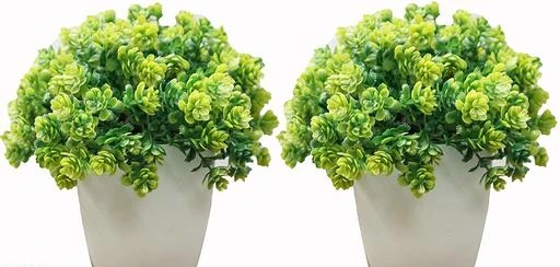 Checkout this latest Artificial Plant, Flower and Shrubs
Product Name: *Decorative Artificial Bonsai Plant*
Easy Returns Available In Case Of Any Issue


SKU: green_topi
Supplier Name: Boles_Diwali

Code: 832-3456021-468

Catalog Name: Classy Decorative Artificial Bonsai Plants Vol 1
CatalogID_480830
M08-C26-SC1610