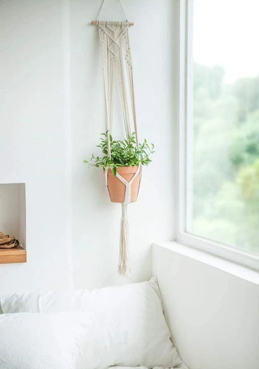  Arshlaza Plant Hanging For Hanger Indoor Outdoor Wall Decor For