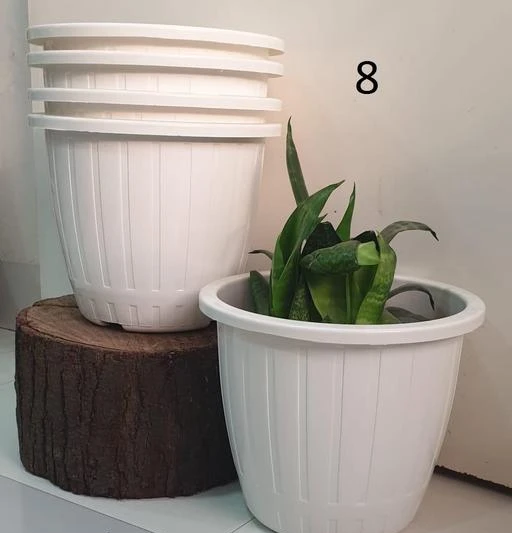 Checkout this latest Planter_500-1000
Product Name: *New Planter*
Material: Plastic
Shape: Circular
Type: Pot
Product Breadth: 8 Inch
Product Height: 8 Inch
Product Length: 8 Inch
Pack Of: Pack Of 5
DAZZLE AGRI 8