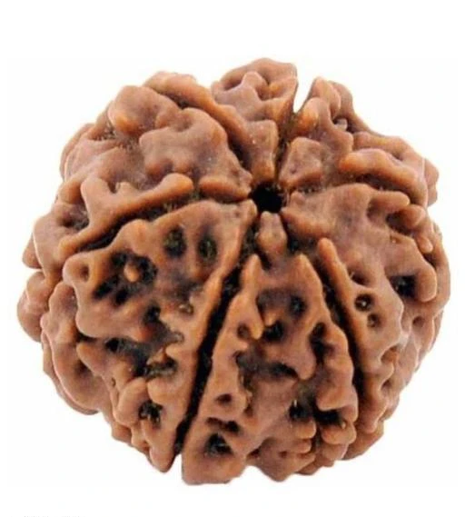 Checkout this latest Pendants & Lockets
Product Name: *Allure Charming Rudraksha Pendant *
Stone Type: Rudrakshi
Type: Only Pendant
Net Quantity (N): 1
Sizes:Free Size
Easy Returns Available In Case Of Any Issue


SKU: DV6M1
Supplier Name: DIVYA VEDIC SANSTHAN

Code: 441-4195472-633

Catalog Name: Allure Charming Rudraksha Pendant
CatalogID_598939
M05-C11-SC1095