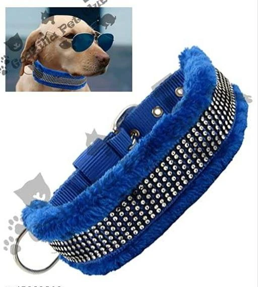 Cool pet outlet collars