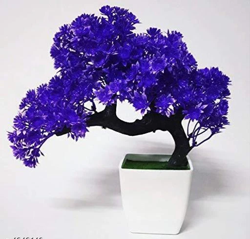 Checkout this latest Artificial Plant, Flower and Shrubs
Product Name: *Classy Decorative Artificial Bonsai Plants*
Easy Returns Available In Case Of Any Issue


SKU: Purple-thudi
Supplier Name: Boles_Diwali

Code: 442-4849140-495

Catalog Name: Classy Decorative Artificial Bonsai Plants Vol 3
CatalogID_707891
M08-C26-SC1610