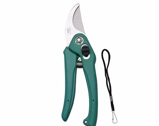 Checkout this latest Cutter_500
Product Name: *Garden Plant Branch Scissors Flower Cutting Cutter Pruning Bypass Secateurs Trimmer Carbon Steel Blade with Lock Set of*
Material: Stainless Steel
Pack: Pack of 1
Country of Origin: India
Easy Returns Available In Case Of Any Issue


SKU: Flower cutter
Supplier Name: DHARMSUT ENTERPRISE

Code: 191-7452859-204

Catalog Name: Essential Trowel
CatalogID_1198597
M08-C26-SC1605
