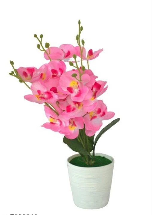 Checkout this latest Artificial Plant, Flower and Shrubs
Product Name: *Wonderful Plants with Pots*
Easy Returns Available In Case Of Any Issue


Catalog Name: Wonderful Plants with Pots
CatalogID_1237956
Code: 000-7633246

.
