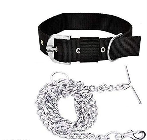 Dog belt 2024 and chain